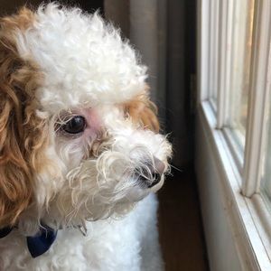 Meet your Posher, Ashleigh